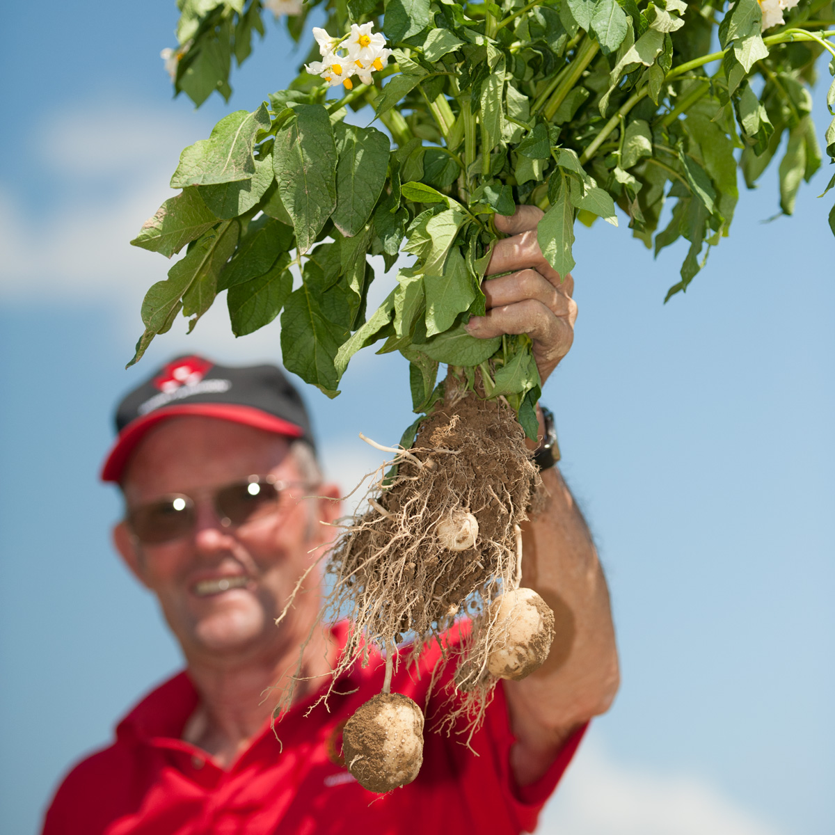 seeds they sow seeds they sow