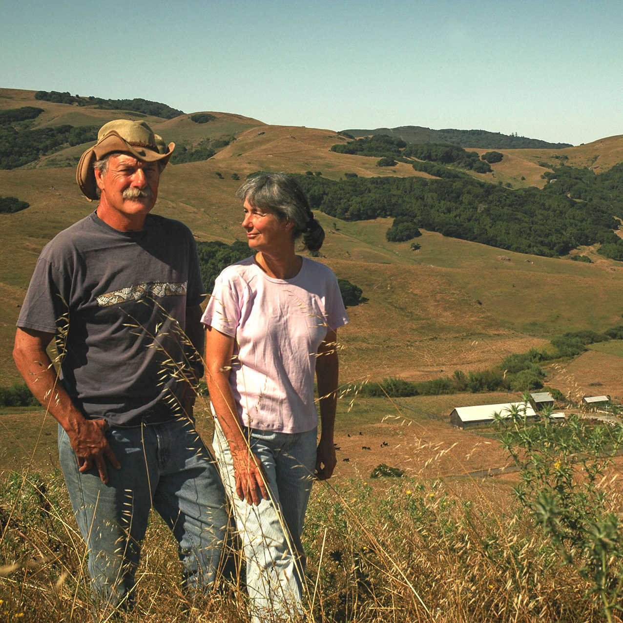 home again home again